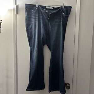 Torrid Indigo Denim Jeans